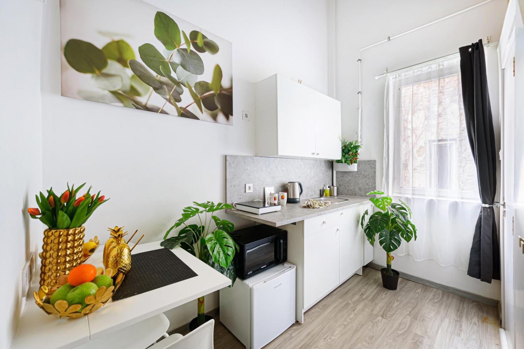בודפשט Florence Downtown Apartments מראה חיצוני תמונה